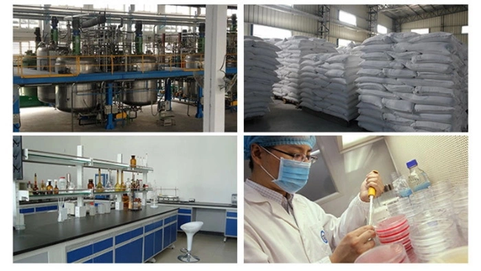 Magnesium Sulphate Anhydrous Mgso4